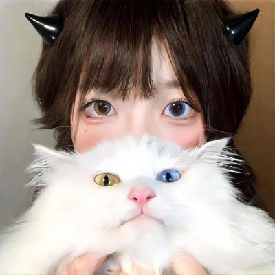 蔡李佛小子