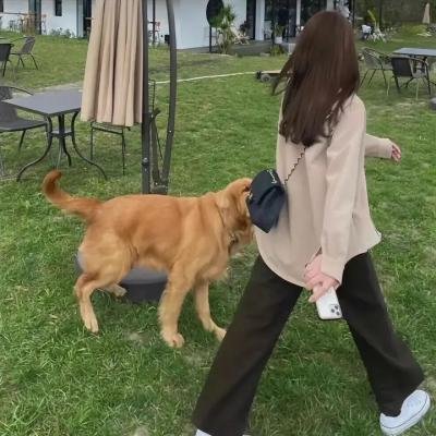 女巫一族